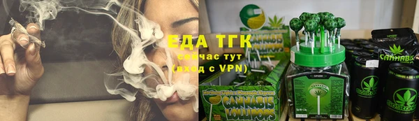 мдпв Каменногорск