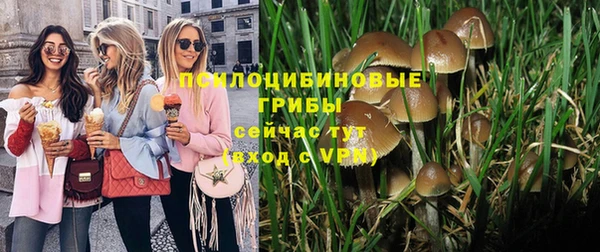 мдпв Каменногорск