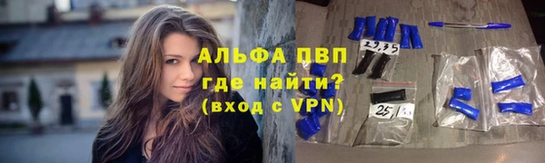 мдпв Каменногорск