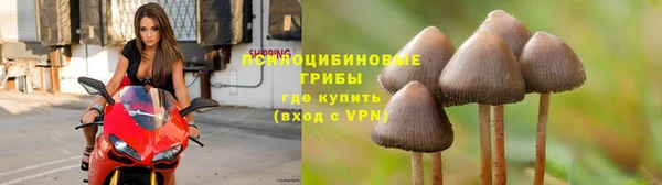 мдпв Каменногорск