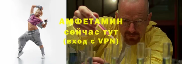 мдпв Каменногорск