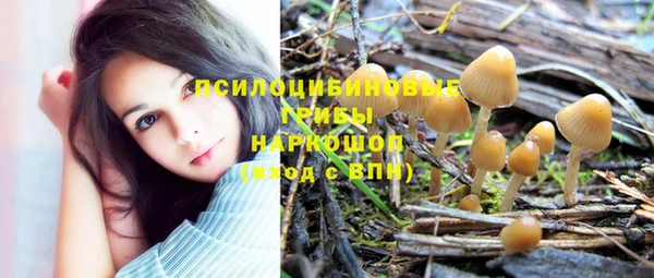 мдпв Каменногорск